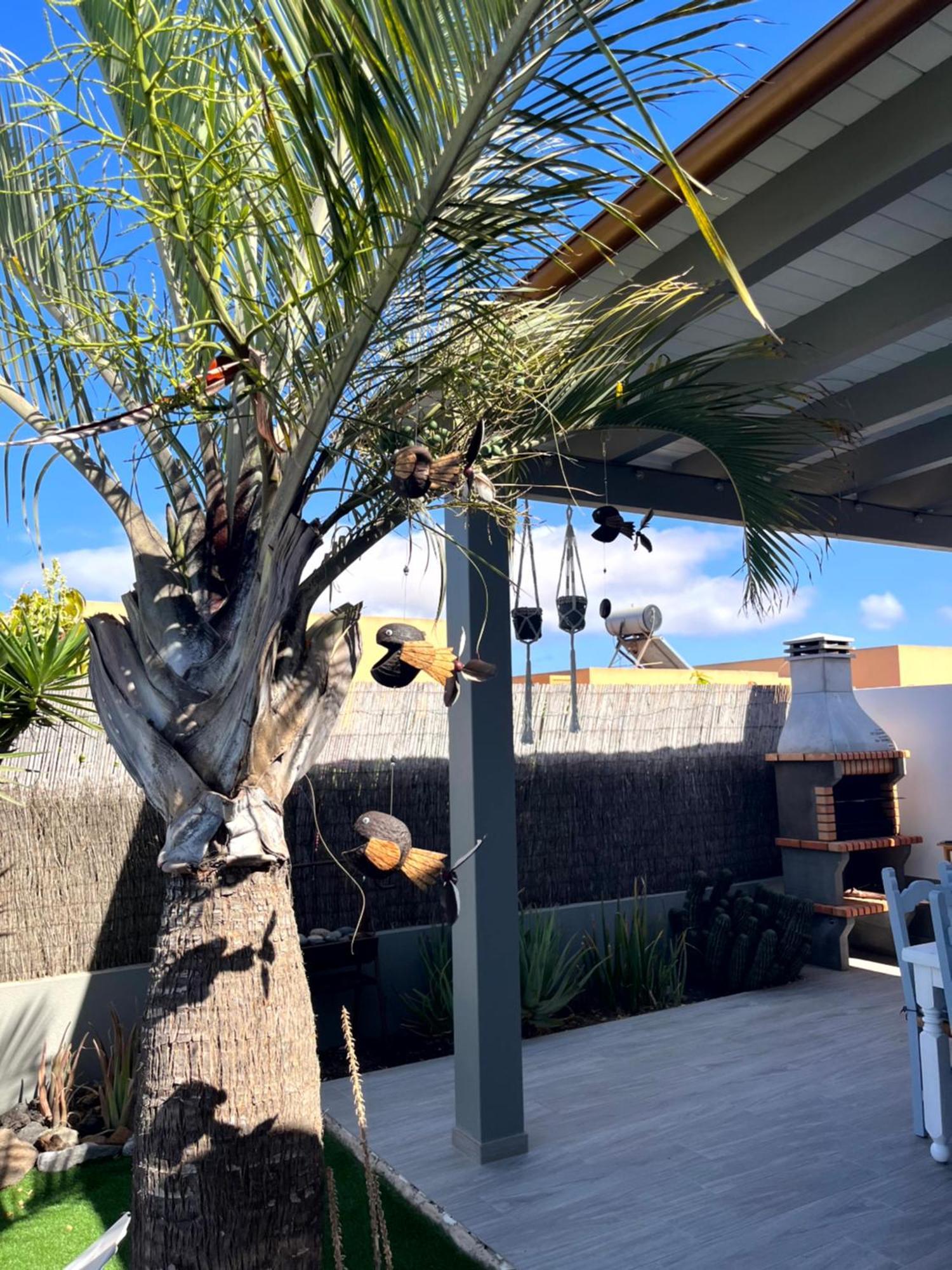 Villa Papi La Oliva Exterior foto